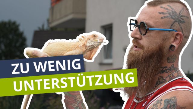 Zu wenig Unterstützung für die Reptilienauffangstation in Polch