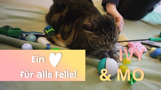 Ein Herz für alle Felle - Ivy und  Mo