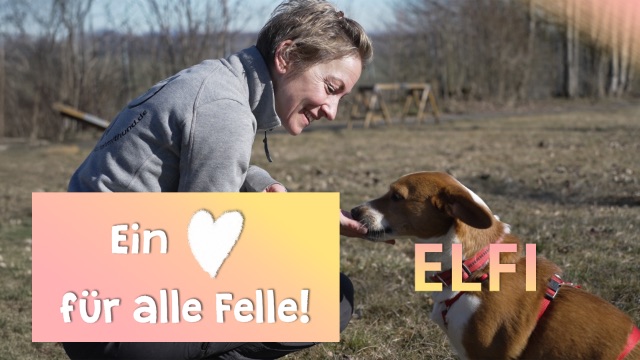 Ein Herz für alle Felle - Elfi