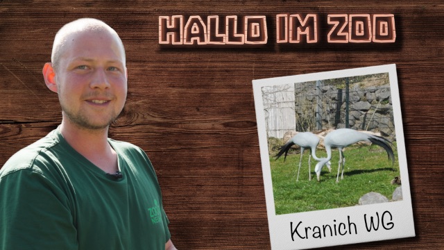 Zu Besuch in der Kranich-WG