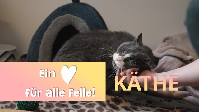 Ein Herz für alle Felle - Käthe