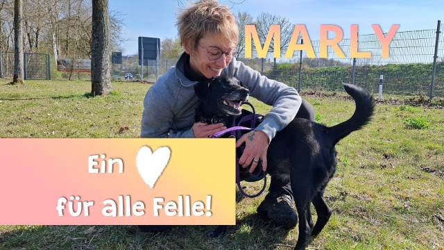 Ein Herz für alle Felle - Marly