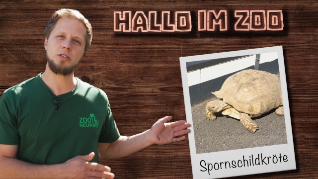 Schwergewichte im Zoo Neuwied