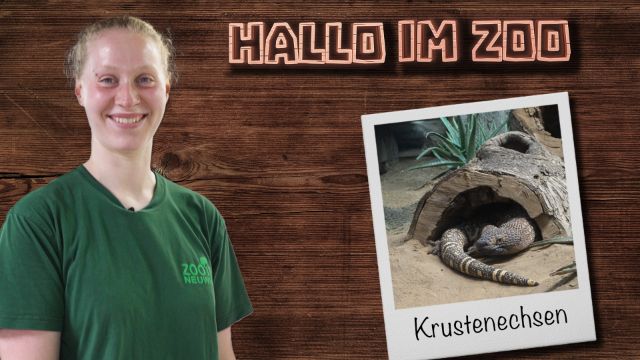 Krustenechsen - Teil 2 aus der Gift-WG