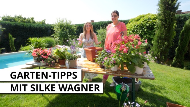 Gartentipps mit Silke - Der Sommer kann kommen