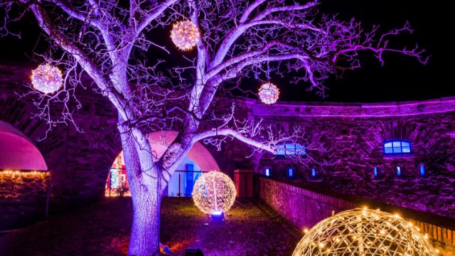 Koblenz: Christmas Garden freut sich über 90.000 Besucher
