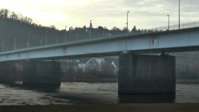 Weitere Baumfällarbeiten für Pfaffendorfer Brücke erforderlich
