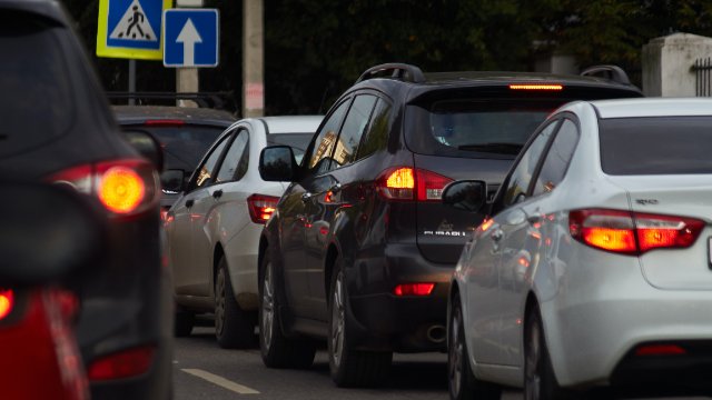 Schmetterlingseffekt auf der Siegbrücke