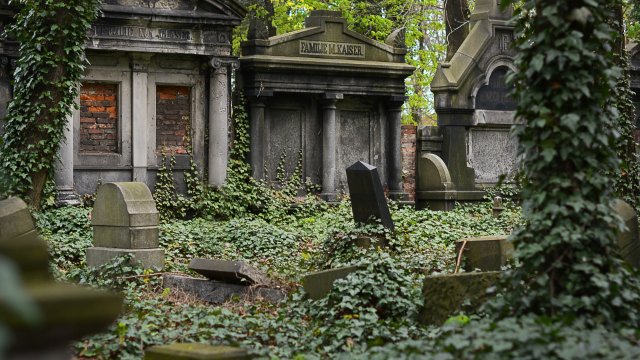 Warnung vor Sturmböen: Friedhof gesperrt!  