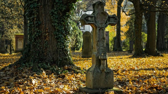 Hauptfriedhof Mayen die Urnenreihengrabstätten auf dem Block III, Feld H mit dem Ablauf der Ruhezeit bis zum 31.12.2021