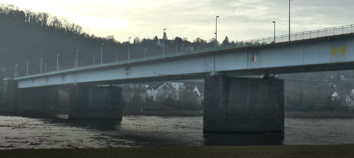 Weitere Baumfällarbeiten für Pfaffendorfer Brücke erforderlich