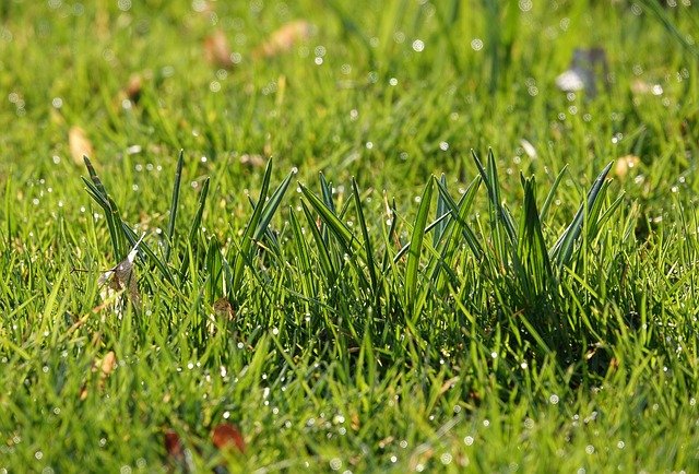 RLP: Flächenversiegelung nimmt zu RLP: Flächenversiegelung nimmt zu
