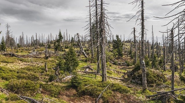 Trockenheit bereitet Sorgen bei Landwirten Trockenheit bereitet Sorgen bei Landwirten