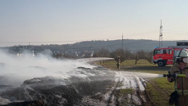Brand auf Feld bei Mülheim-Kärlich