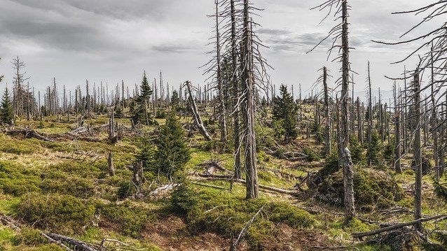 Trockenheit bereitet Sorgen bei Landwirten 
