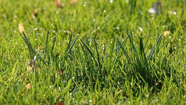 RLP: Flächenversiegelung nimmt zu