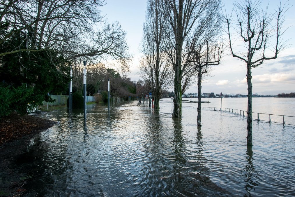 Projekt zur Schadensminimierung bei Hochwasser wird mit Millionen gefördert