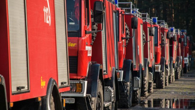 50 Einsatzkräfte löschen Waldbrand an der Mosel