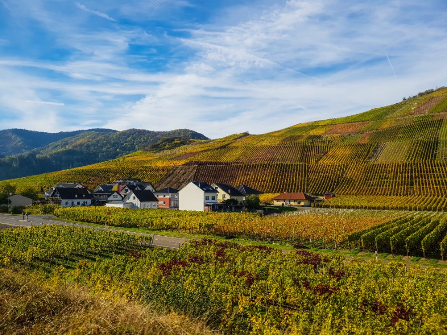 Ausnahme bei Auftragsvergabe soll das Bauen im Ahrtal beschleunigen Ausnahme bei Auftragsvergabe soll das Bauen im Ahrtal beschleunigen