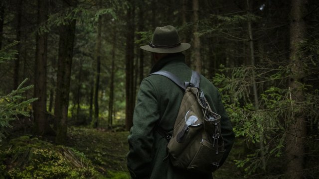Dutzende Fälle von Jagdwilderei jedes Jahr in Rheinland-Pfalz
