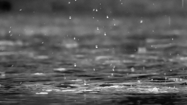 Kaum Sturmschäden am Donnerstag in Rheinland-Pfalz