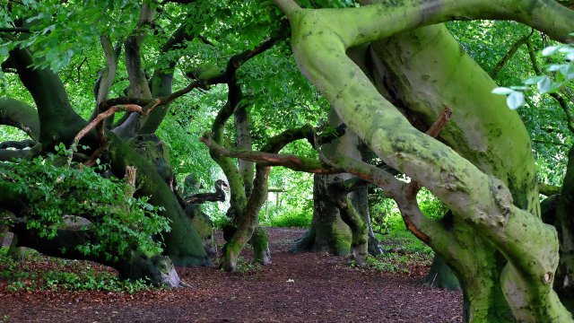 Zwei neue Naturschutzgebiete in RLP 