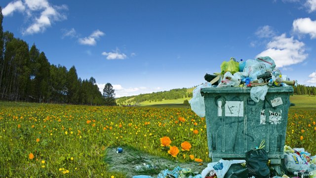 Illegale Abfallbeseitigung auf Feldweg im Westerwald
