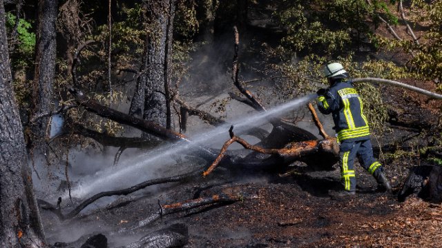 Waldbrand über 200 Quadratmeter in Rheinland-Pfalz