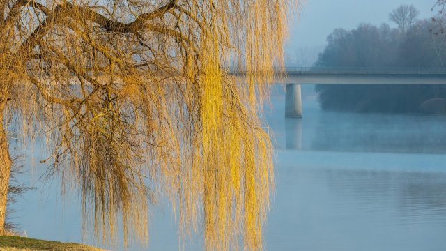 Im Rhein untergegangener Mann tot geborgen