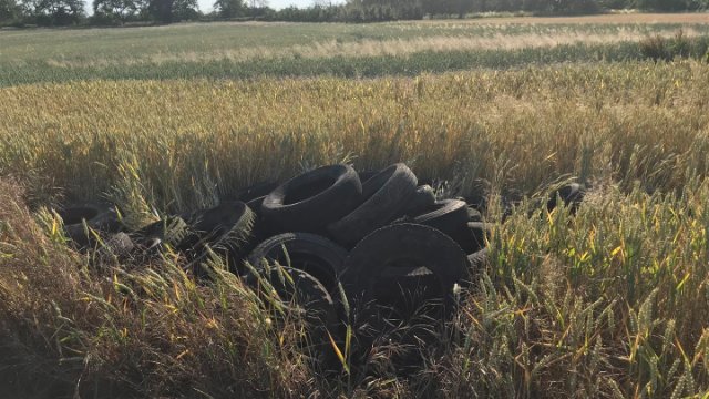 Illegale Altreifen Entsorgung in Metternich