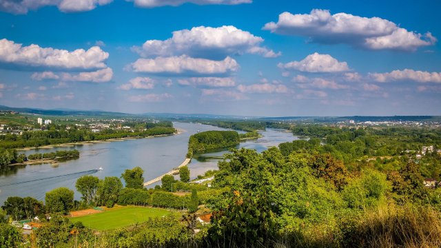 Gruppe stürzt in Rhein: 49-jähriger Familienvater ertrinkt