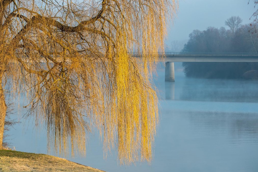 Im Rhein untergegangener Mann tot geborgen Im Rhein untergegangener Mann tot geborgen