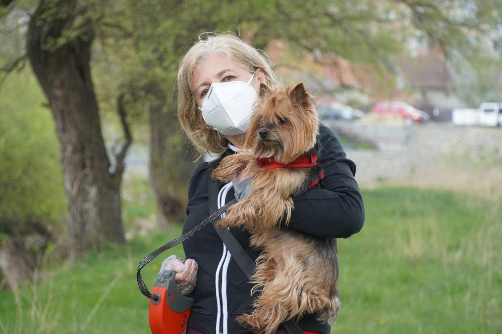 Spürhund-Studie zum Erkennen von Corona-Infektionen wird vorgestellt Spürhund-Studie zum Erkennen von Corona-Infektionen wird vorgestellt