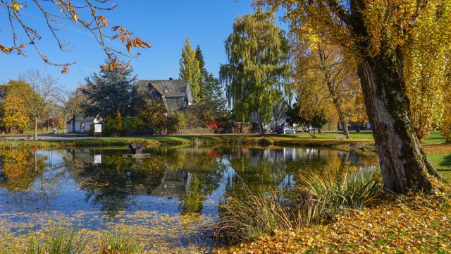 Nationalpark im Hunsrück arbeitet mit Schulen zusammen
