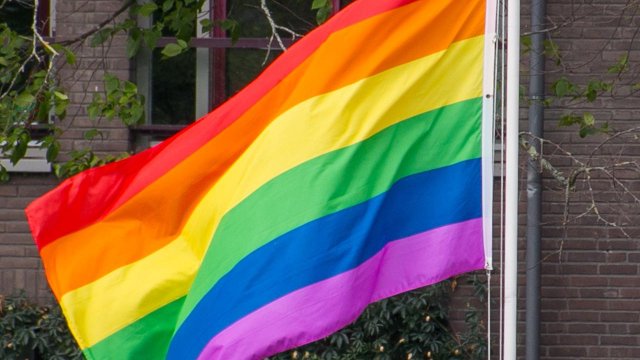 Mainzer CDU-Vorsitzender kritisiert Regenbogen-Flagge am Bundestag