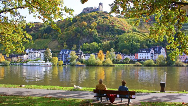 Gesellschaft der Bundesgartenschau 2029 bekommt neuen Chef