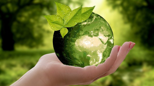Für mehr Nachhaltigkeit in Schulen – 28 Schulen mit Plakette „Nachhaltige Schule“ ausgezeichnet