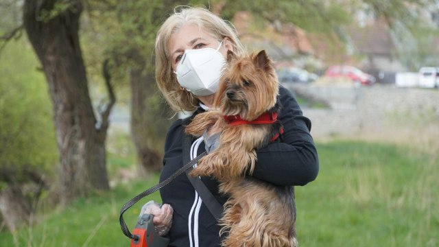 Spürhund-Studie zum Erkennen von Corona-Infektionen wird vorgestellt