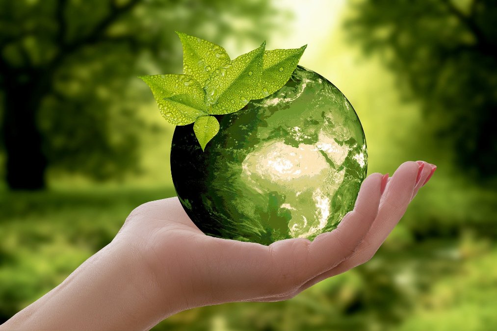 Für mehr Nachhaltigkeit in Schulen – 28 Schulen mit Plakette „Nachhaltige Schule“ ausgezeichnet
