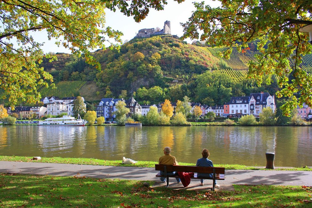 Gesellschaft der Bundesgartenschau 2029 bekommt neuen Chef Gesellschaft der Bundesgartenschau 2029 bekommt neuen Chef