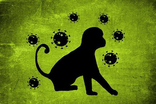 Simmern: Erster Affenpocken-Fall  