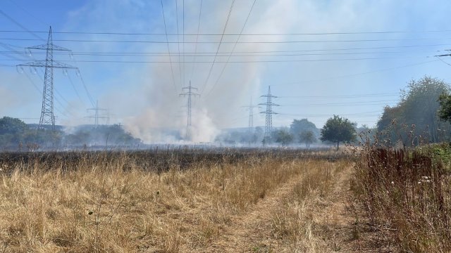 Flächenbrand auf Koblenzer Feld unweit der B9