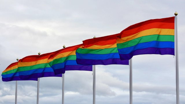 Behörden können Regenbogenflaggen hissen