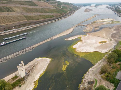 Niedriger Wasserstand legt alte Munition am Rhein frei Niedriger Wasserstand legt alte Munition am Rhein frei