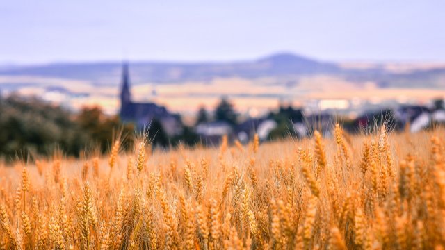 Rheinland-Pfalz unattraktiver Standort für Familienfirmen