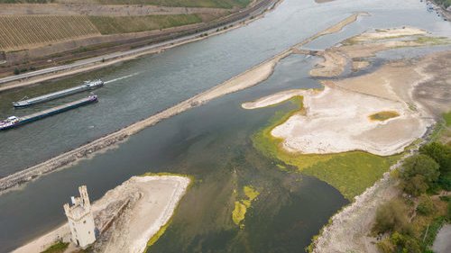 Niedriger Wasserstand legt alte Munition am Rhein frei