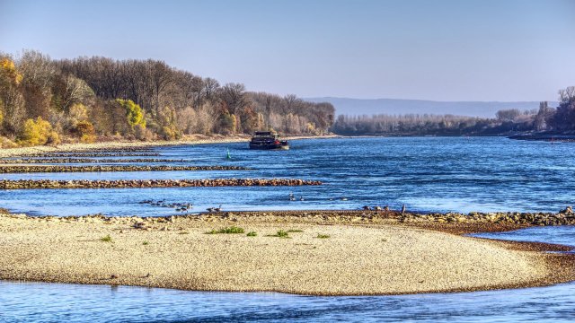 Deutlicher Anstieg: Rhein-Pegelstand bei Kaub bei 44 Zentimetern