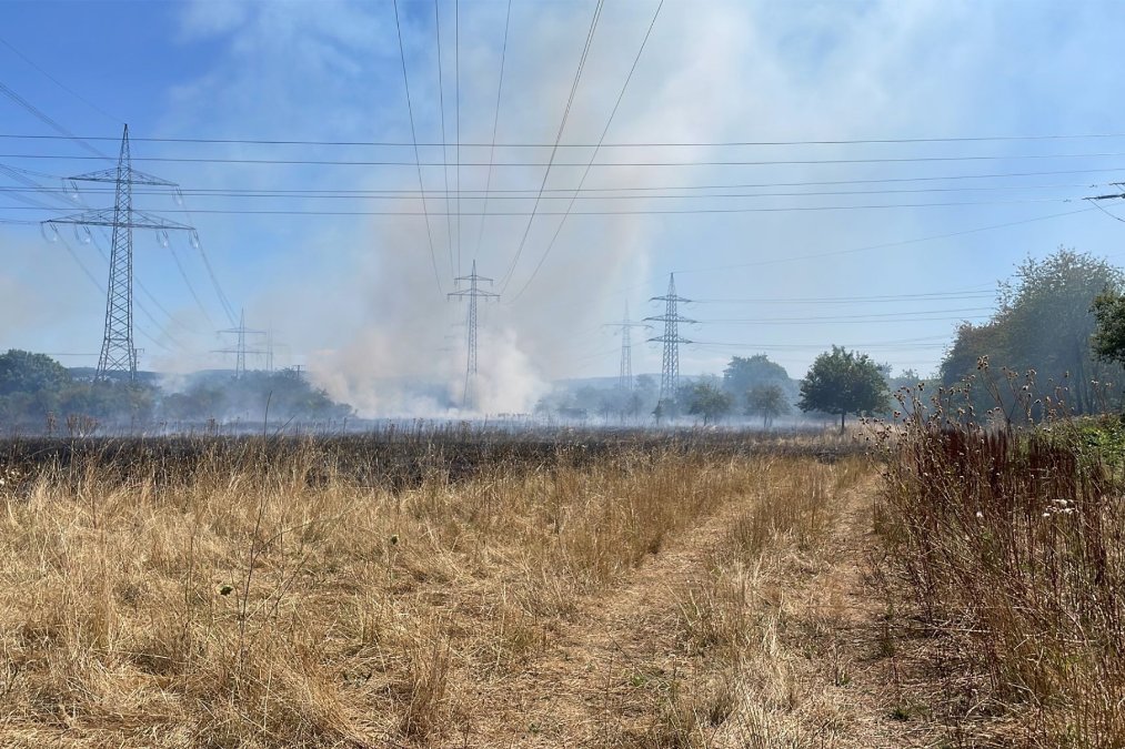 Flächenbrand auf Koblenzer Feld unweit der B9 Flächenbrand auf Koblenzer Feld unweit der B9