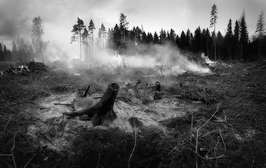 Feuerwehr verhindert größeren Waldbrand im Aubachtal Feuerwehr verhindert größeren Waldbrand im Aubachtal