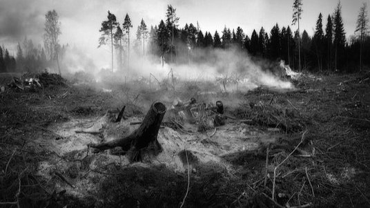 Feuerwehr verhindert größeren Waldbrand im Aubachtal